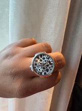Load image into Gallery viewer, Premium Sliver Timepiece Rings (Cheetah )